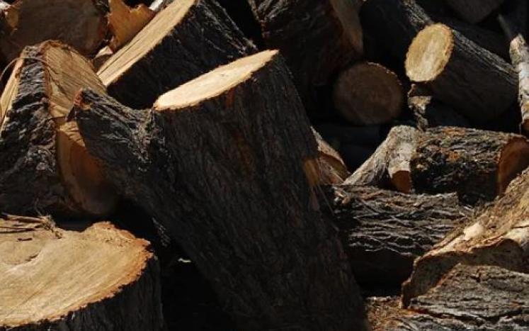 Pallets and Uncut Firewood available to residents